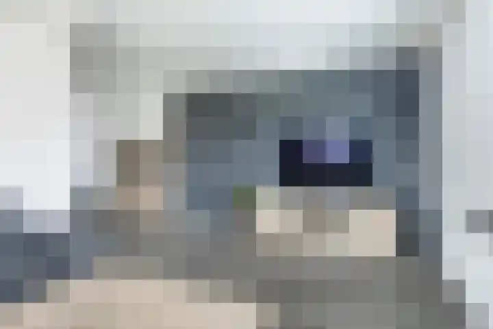 Spoarbuert 3 Stiens thumbnail 9