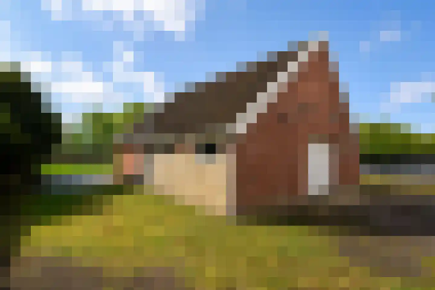 Spoarbuorren Súd 22 Kollumersweach thumbnail 11