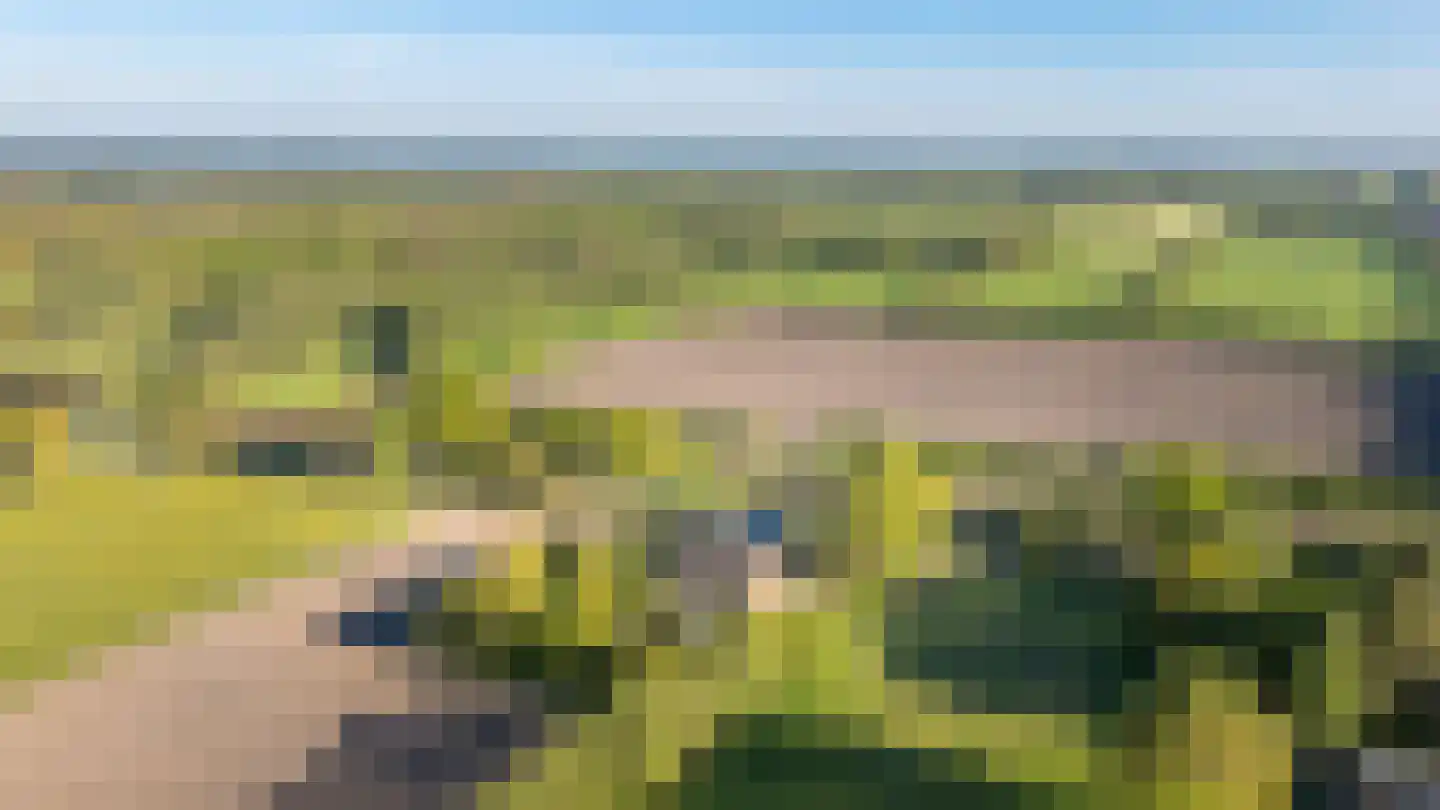 Spoarbuorren Súd 22 Kollumersweach thumbnail 15