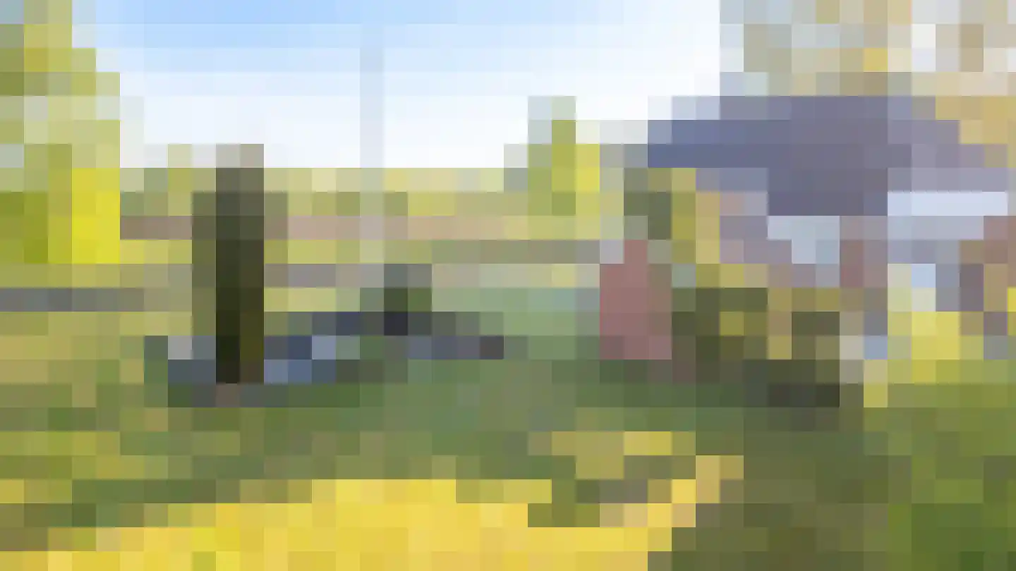 Spoarbuorren Súd 22 Kollumersweach thumbnail 19
