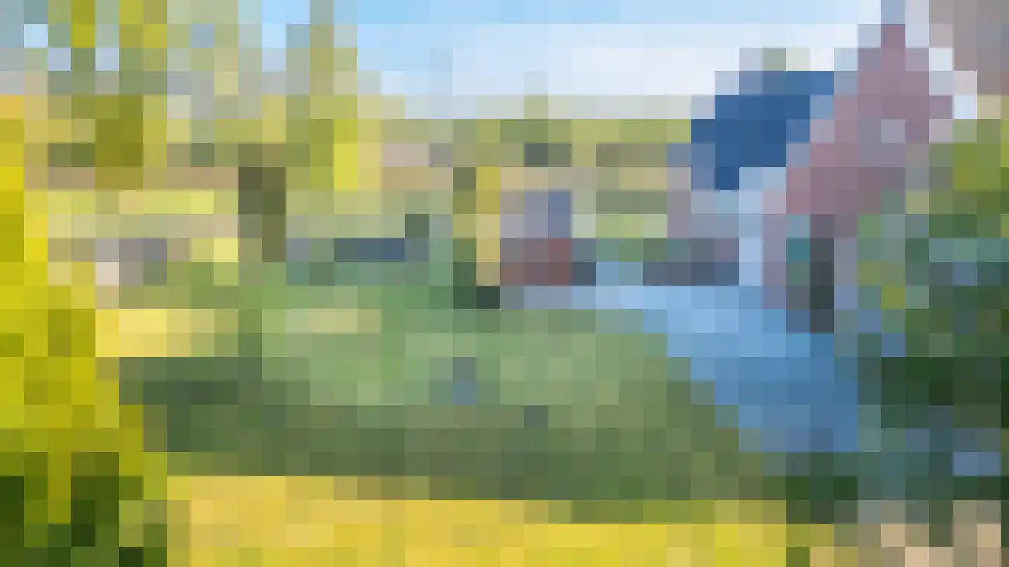 Spoarbuorren Súd 22 Kollumersweach thumbnail 20