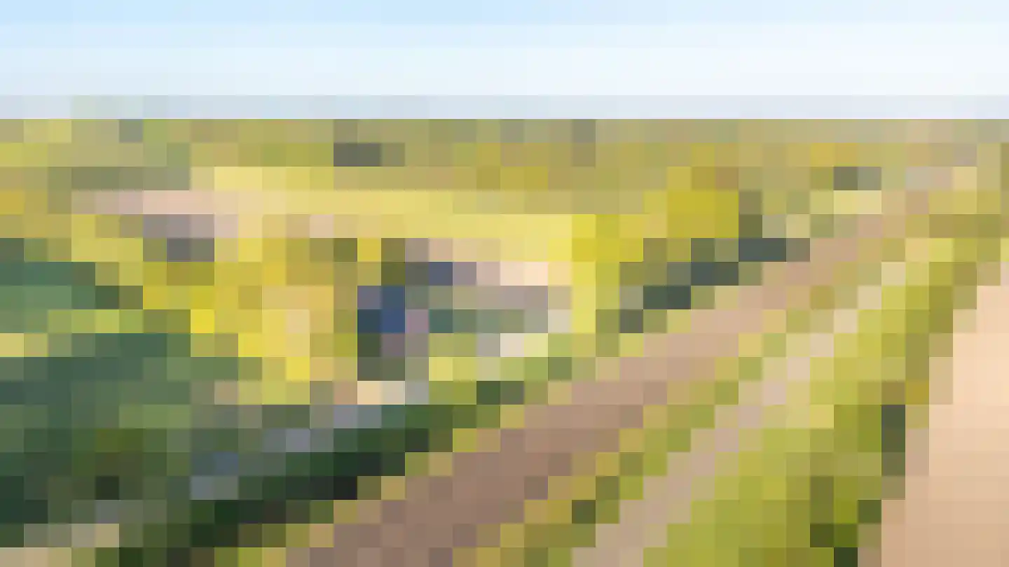 Spoarbuorren Súd 22 Kollumersweach thumbnail 4