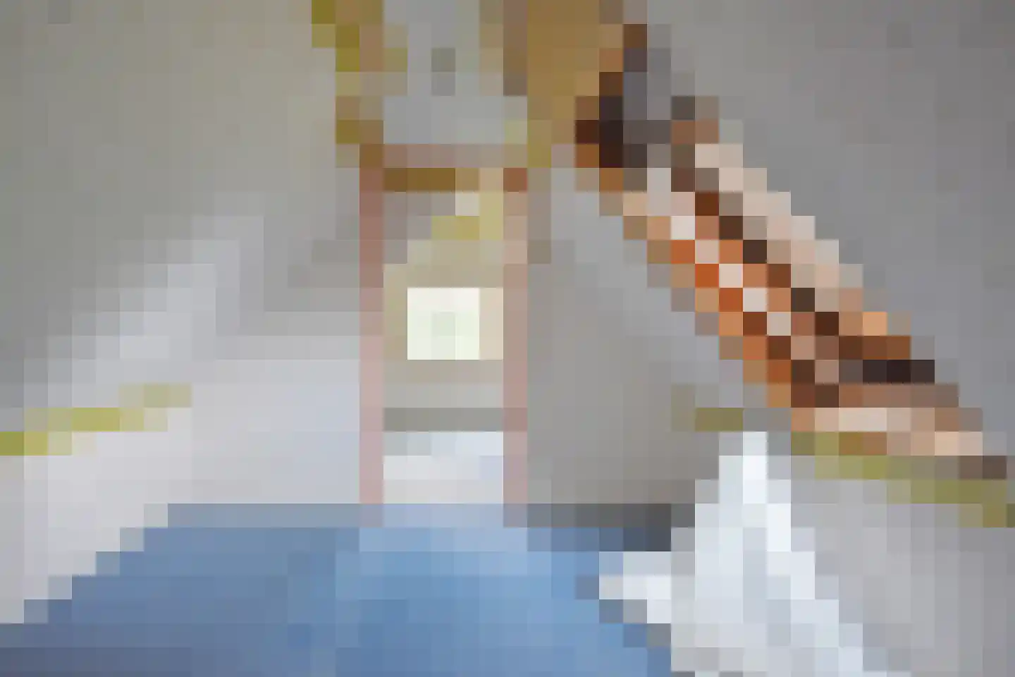 Spoarbuorren Súd 22 Kollumersweach thumbnail 51