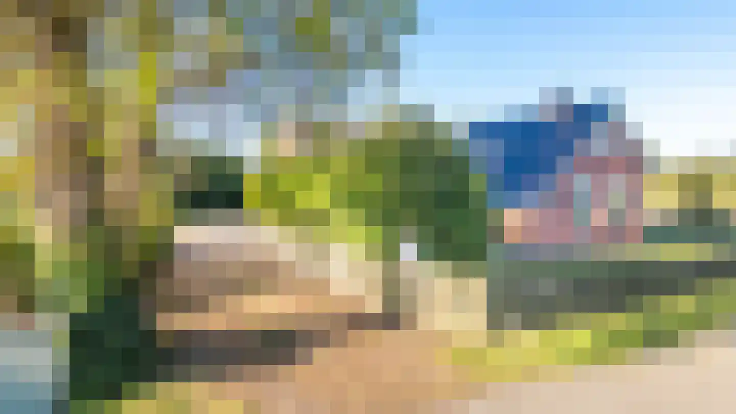 Spoarbuorren Súd 22 Kollumersweach thumbnail 7