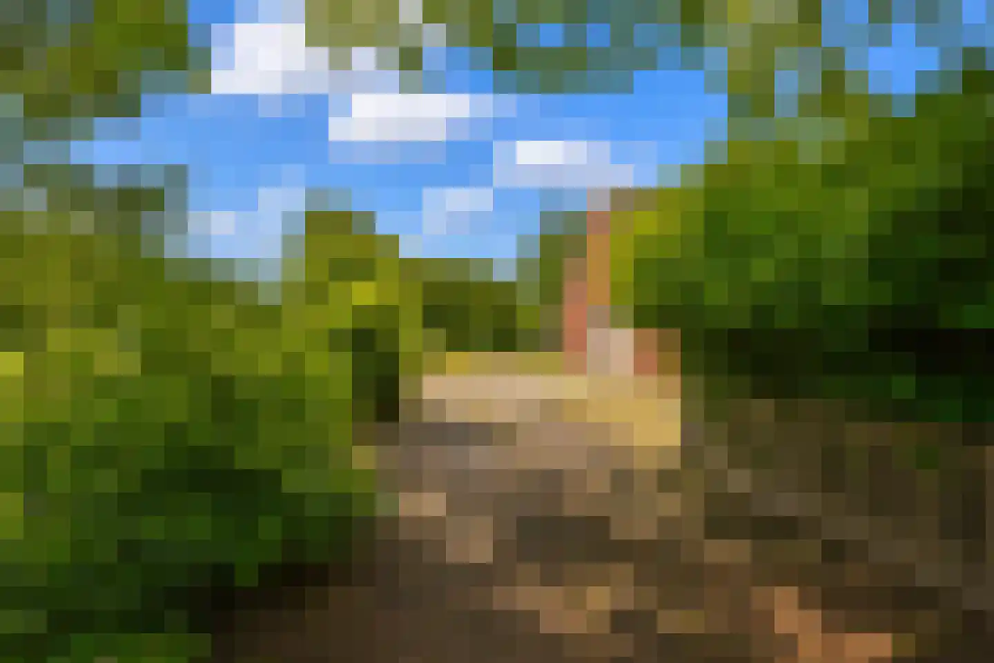 Spoarbuorren Súd 22 Kollumersweach thumbnail 8