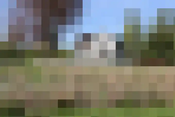 Spoarloane 12 Feanwâlden thumbnail 10