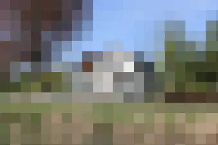 Spoarloane 12 Feanwâlden thumbnail 11