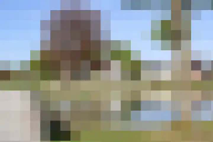 Spoarloane 12 Feanwâlden thumbnail 12