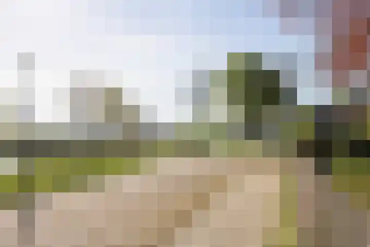 Spoarloane 12 Feanwâlden thumbnail 16