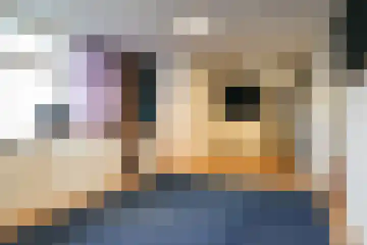Spoarloane 12 Feanwâlden thumbnail 29