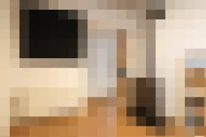 Spoarloane 12 Feanwâlden thumbnail 30