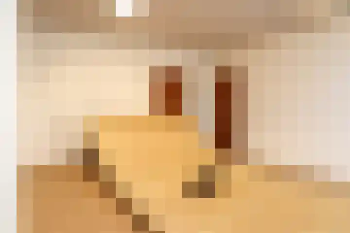 Spoarloane 12 Feanwâlden thumbnail 35