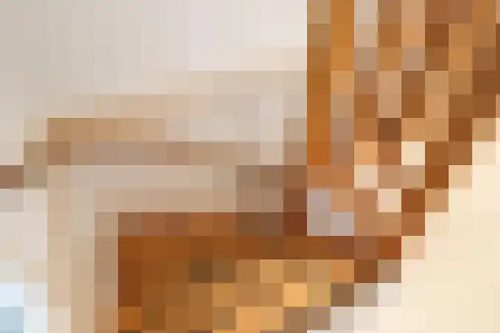 Spoarloane 12 Feanwâlden thumbnail 38