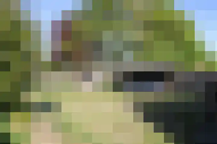 Spoarloane 12 Feanwâlden thumbnail 54