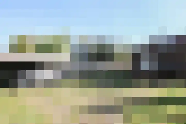 Spoarloane 12 Feanwâlden thumbnail 55