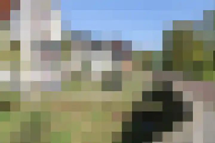 Spoarloane 12 Feanwâlden thumbnail 57