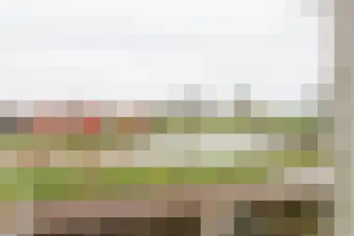 Spoarloane 12 Feanwâlden thumbnail 6