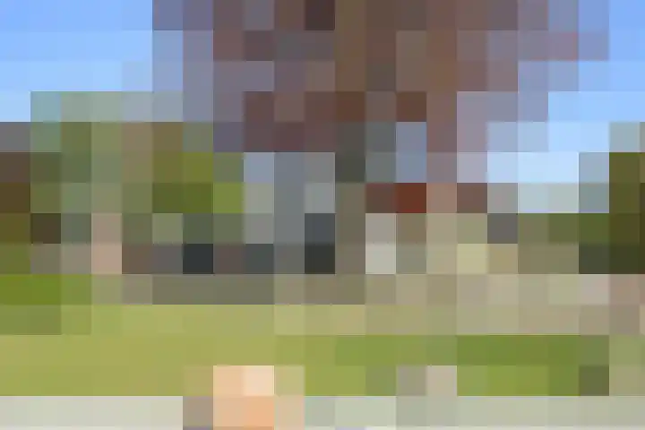 Spoarloane 12 Feanwâlden thumbnail 60