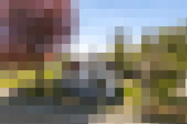 Spoarloane 12 Feanwâlden thumbnail 62