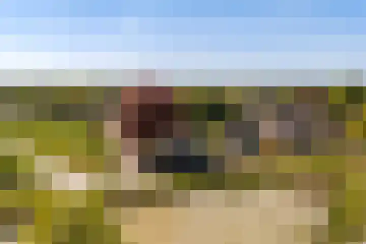 Spoarloane 12 Feanwâlden thumbnail 64