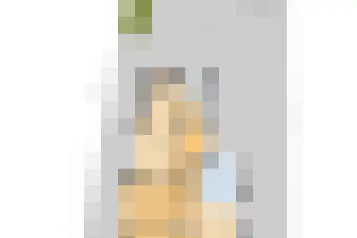 Spoarloane 12 Feanwâlden thumbnail 66
