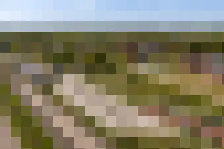 Spoarloane 12 Feanwâlden thumbnail 7