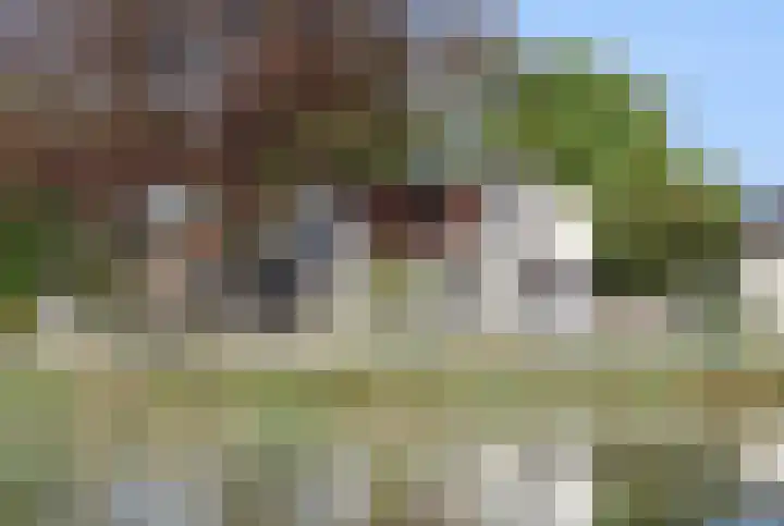 Spoarloane 12 Feanwâlden thumbnail 71