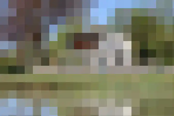 Spoarloane 12 Feanwâlden thumbnail 8