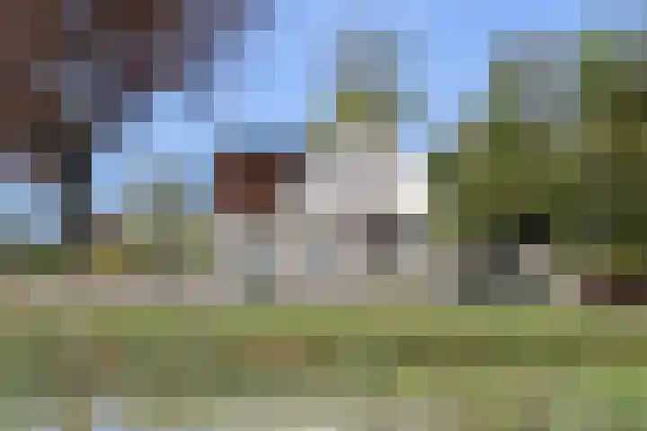 Spoarloane 12 Feanwâlden thumbnail 9