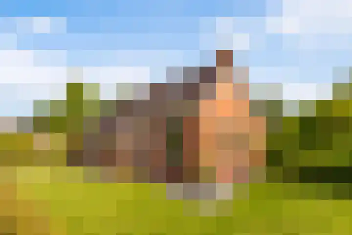 Spoarstrjitte 2 De Westereen thumbnail 31