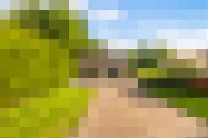 Spoarstrjitte 2 De Westereen thumbnail 33