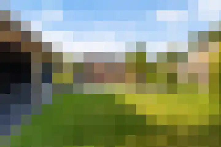 Spoarstrjitte 2 De Westereen thumbnail 35