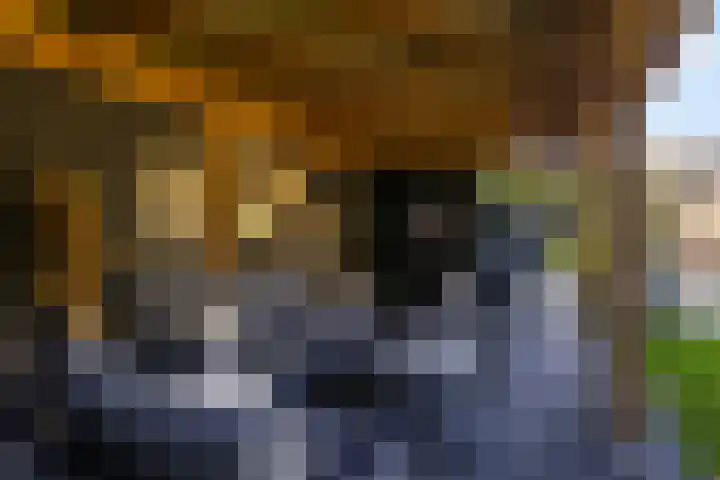 Spoarstrjitte 2 De Westereen thumbnail 36