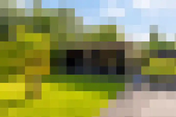 Spoarstrjitte 2 De Westereen thumbnail 37