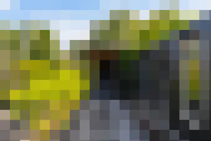 Spoarstrjitte 2 De Westereen thumbnail 38