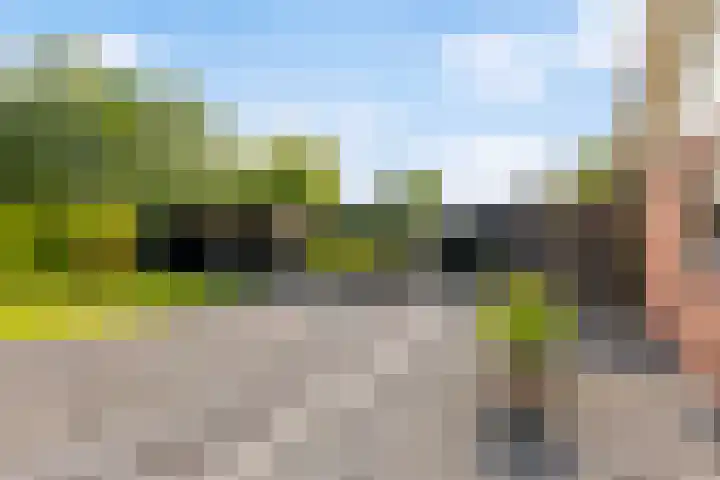 Spoarstrjitte 2 De Westereen thumbnail 39