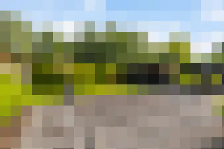 Spoarstrjitte 2 De Westereen thumbnail 40