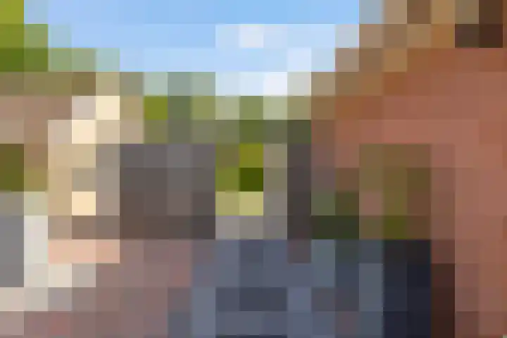 Spoarstrjitte 2 De Westereen thumbnail 41