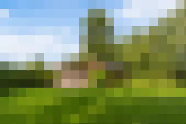 Spoarstrjitte 2 De Westereen thumbnail 43