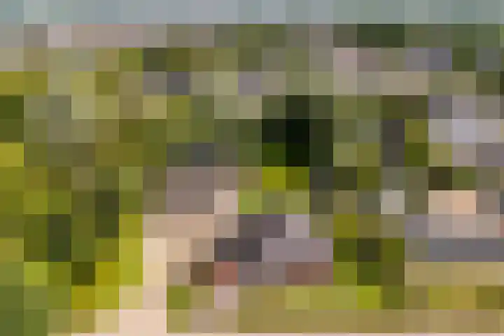 Spoarstrjitte 2 De Westereen thumbnail 48