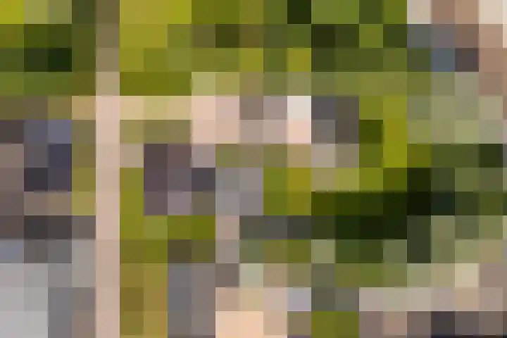 Spoarstrjitte 2 De Westereen thumbnail 49