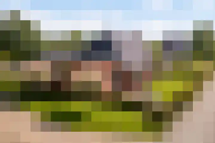 Spoarstrjitte 2 De Westereen thumbnail 51