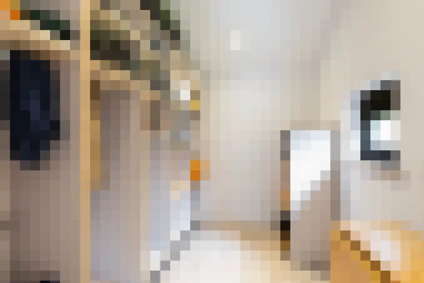Spoarstrjitte 4 De Westereen thumbnail 32