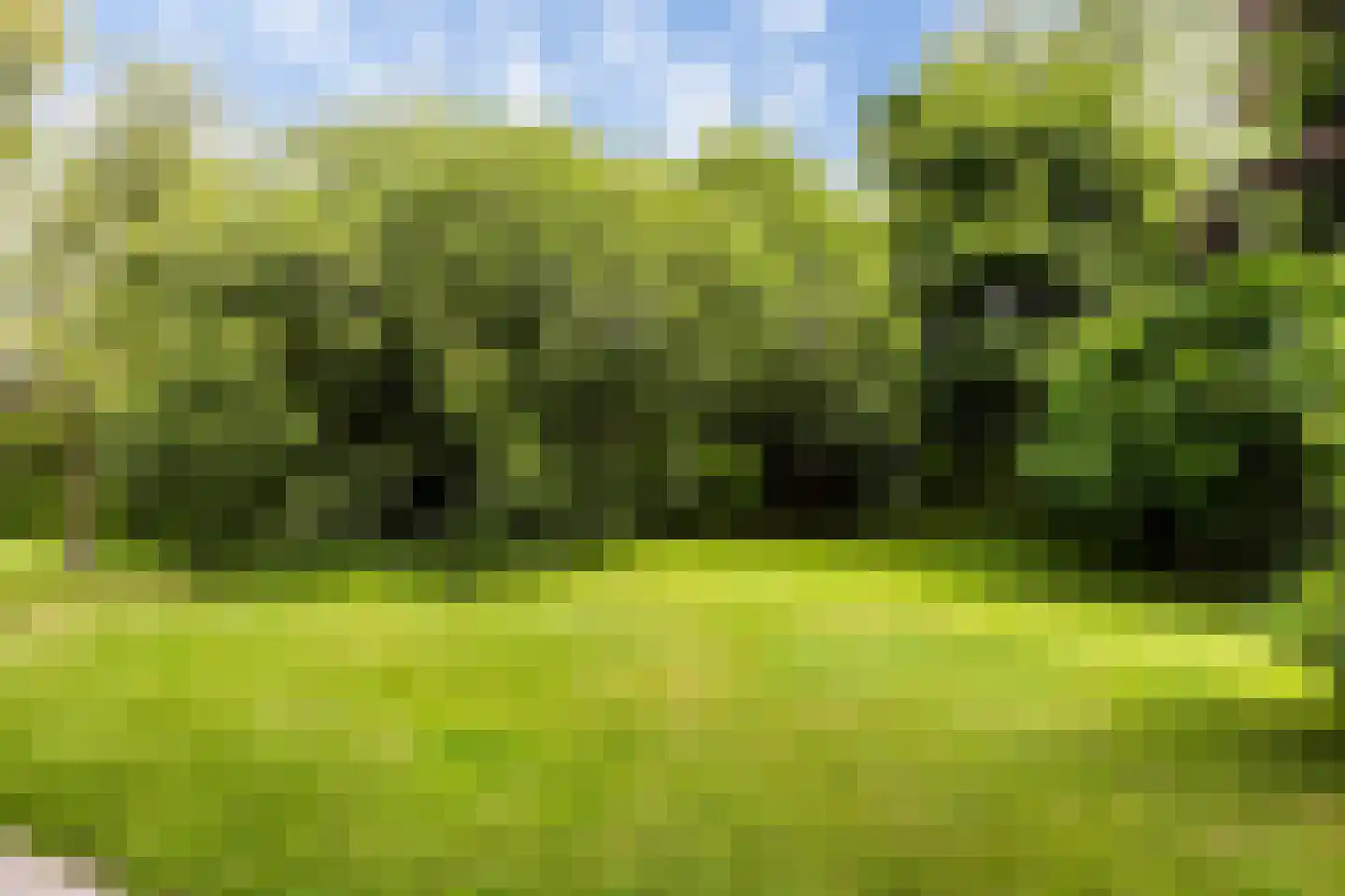 Spoarstrjitte 4 De Westereen thumbnail 39