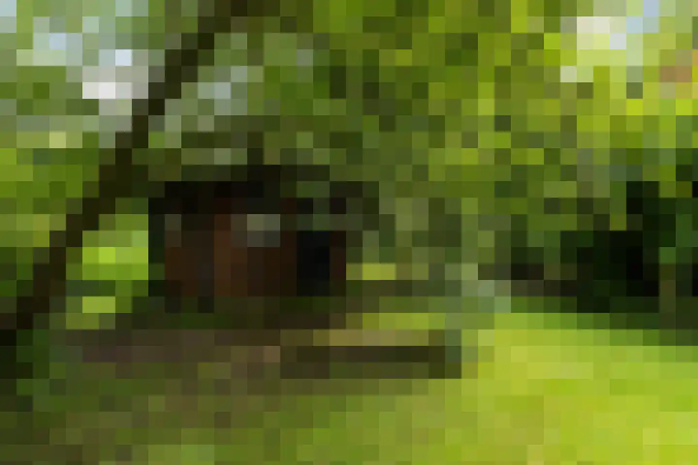 Spoarstrjitte 4 De Westereen thumbnail 40