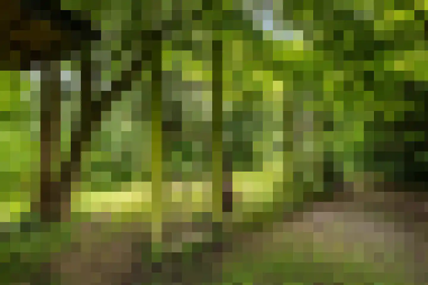 Spoarstrjitte 4 De Westereen thumbnail 41