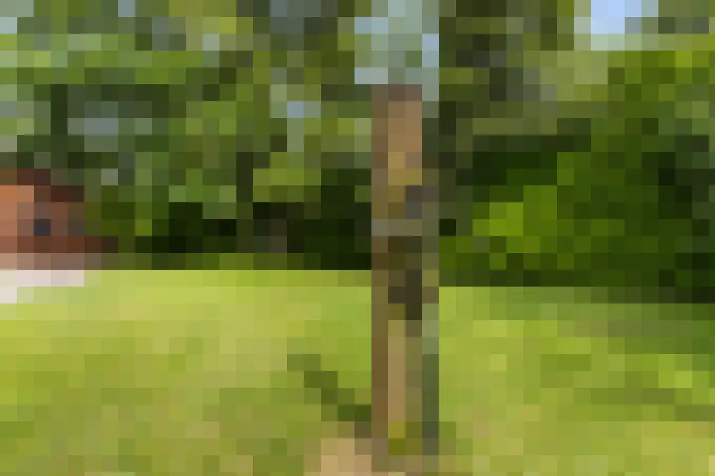 Spoarstrjitte 4 De Westereen thumbnail 44