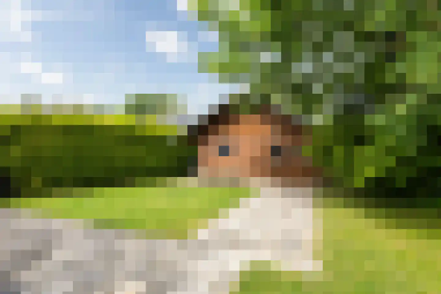 Spoarstrjitte 4 De Westereen thumbnail 45