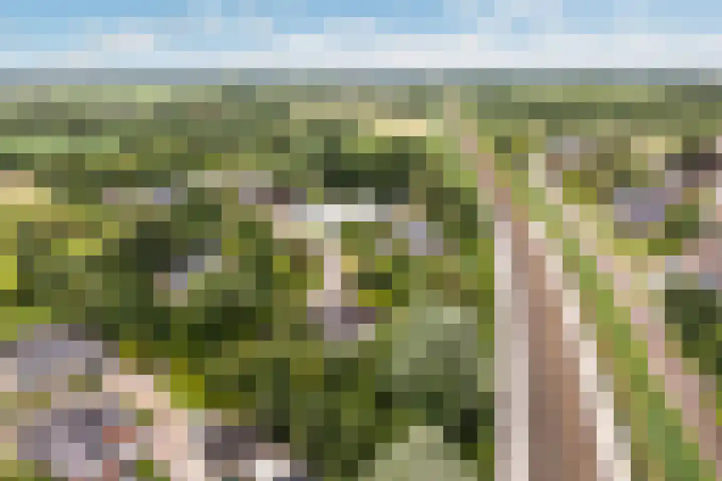 Spoarstrjitte 4 De Westereen thumbnail 53
