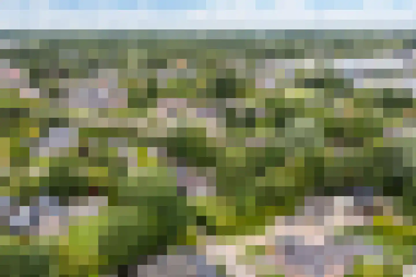 Spoarstrjitte 4 De Westereen thumbnail 54